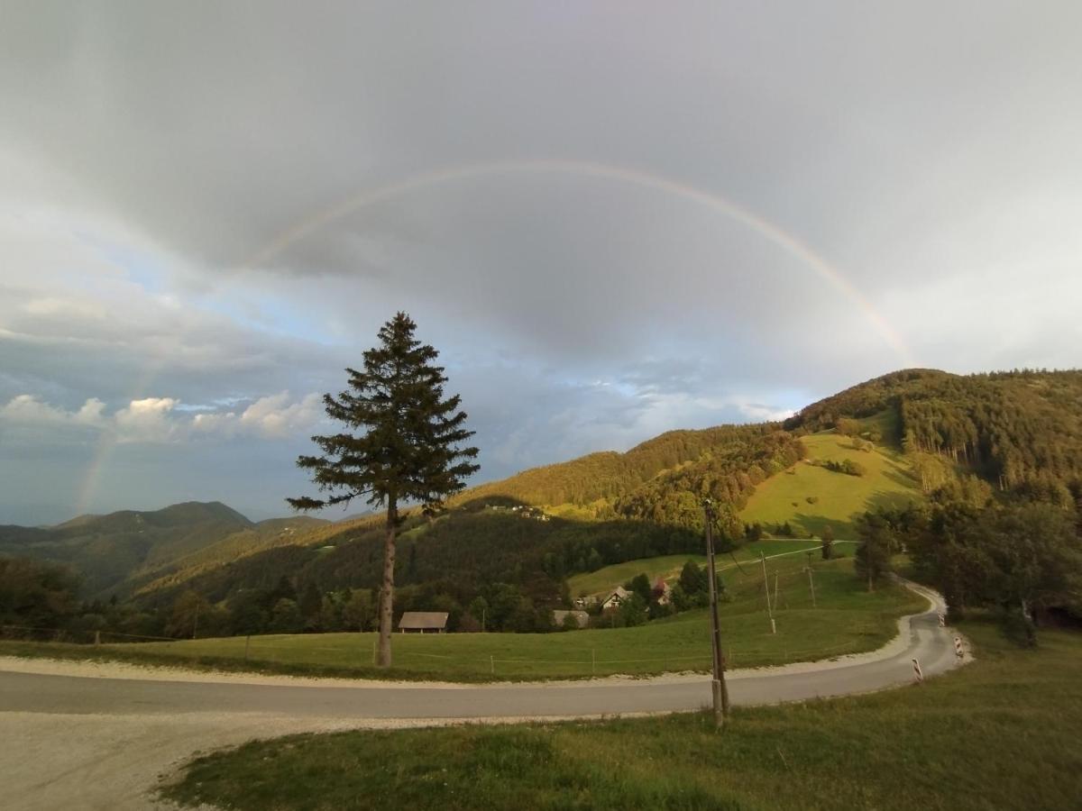 Отель Planinski Dom Vrhe Trbovlje Экстерьер фото